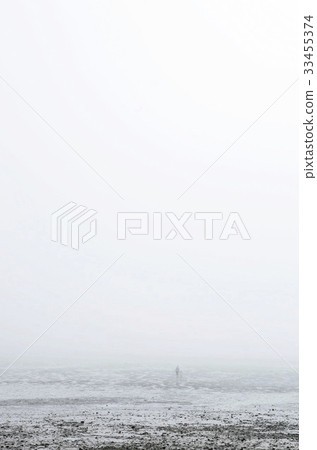 Tidal flat, Jebu Island, Hwaseong, Gyeonggi-do 33455374