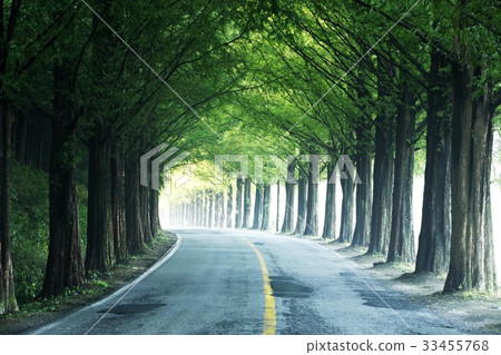 Damyang-gun, Jeonnam 33455768