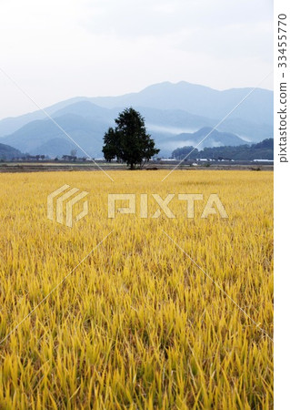 Damyang-gun, Jeonnam 33455770