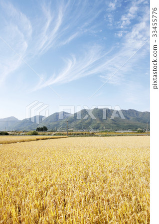 慶北省慶州市 慶北省慶州市 33455776