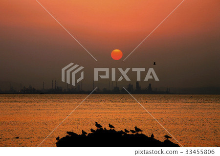 POSCO, Pohang, Gyeongbuk POSCO, Pohang, Gyeongbuk 33455806