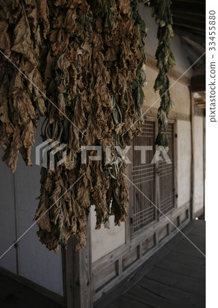 慶州尚州尚州洞 33455880