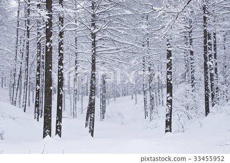 Daegwallyeong, Pyeongchang-gun, Gangwon-do 33455952