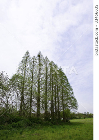 首爾麻浦區上南洞 33456035