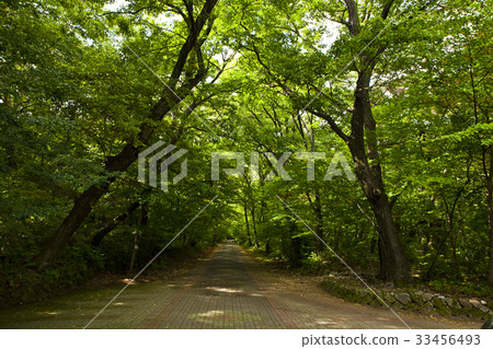 Seoknamsa Temple, Ulju County, Ulsan 33456493