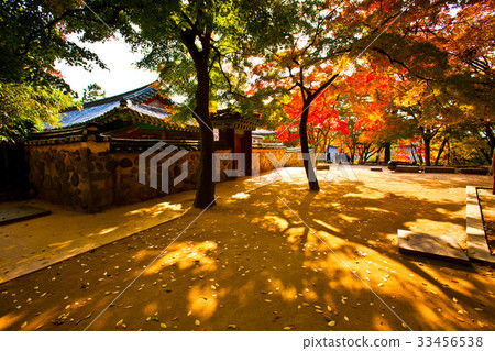 Bulguksa Temple, Gyeongju City, Gyeongbuk Province Bulguksa Temple, Gyeongju City, Gyeongbuk Province 33456538