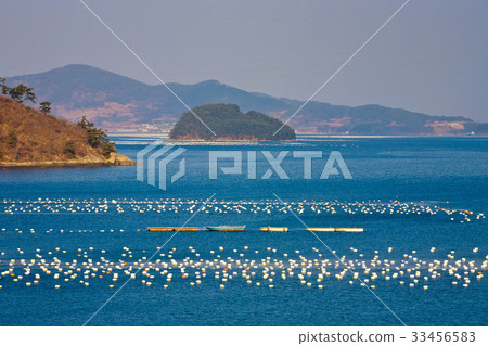 Geoje City, Gyeongnam Province 33456583