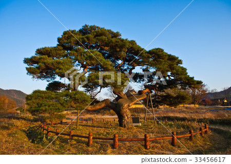 Hahoe Village, Andong City, Gyeongbuk Hahoe Village, Andong City, Gyeongbuk 33456617