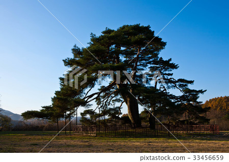 Changzhou, Gyeongbuk 33456659