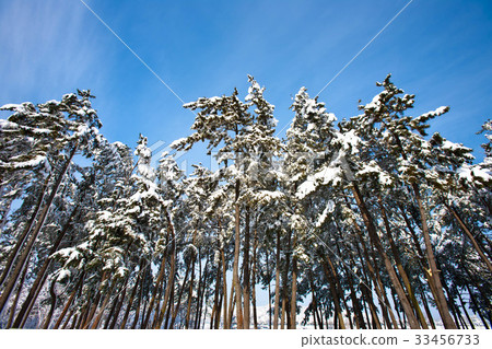 Uljin County, Gyeongbuk Province Uljin County, Gyeongbuk Province 33456733