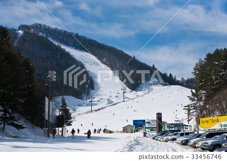 江原道平昌郡龍平永平滑雪場 33456746
