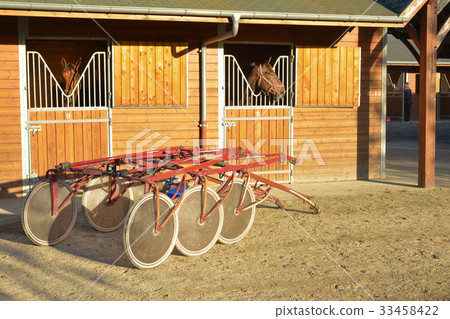 Brown Horse with sulkys Brown Horse with sulkys 33458422