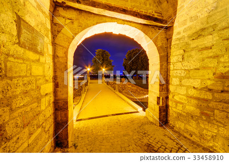 Medieval gate 33458910