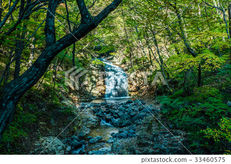 waterfall with stones covered by moss in a forest, waterfall with stones covered by moss in a forest, 33460575