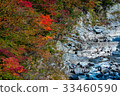 river and autumn or fall color trees, Japan 33460590