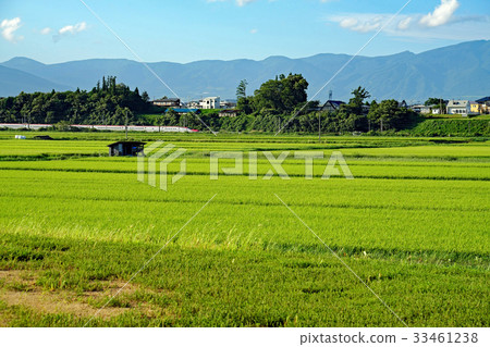 Summer Soseki Iwate and Akita Shinkansen Komachi 33461238