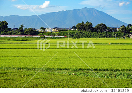 Summer Soseki Iwate and Akita Shinkansen Komachi 33461239