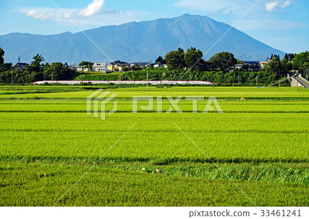 Summer Soseki Iwate and Akita Shinkansen Komachi Summer Soseki Iwate and Akita Shinkansen Komachi 33461241