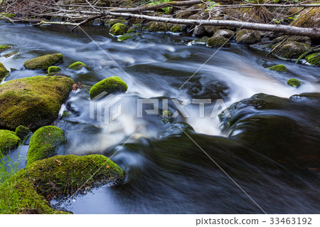 Small stream in mixed forest 33463192