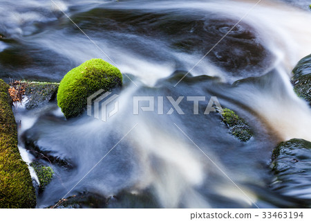 Small stream in mixed forest 33463194