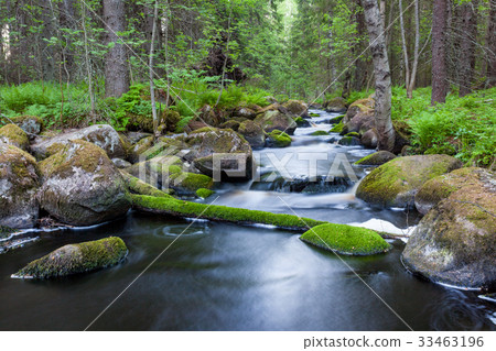 Small stream in mixed forest 33463196