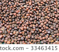Dried coffee beans 33463415