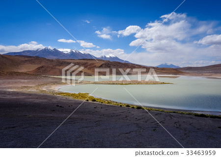 Laguna Honda in sud Lipez Altiplano, Bolivia 33463959