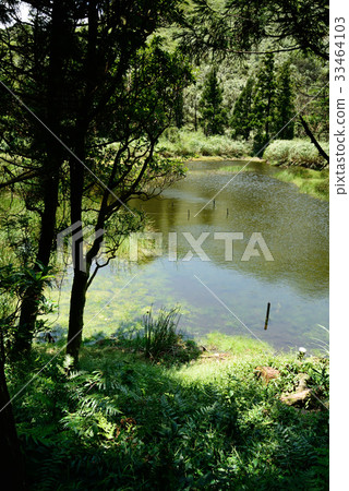 台灣 風景 湖 陽明山 夢幻湖 植物 樹 枯木 原始 純淨 乾淨 登山 爬山 旅遊勝地 森林 秘境 台灣 風景 湖 陽明山 夢幻湖 植物 樹 枯木 原始 純淨 乾淨 登山 爬山 旅遊勝地 森林 秘境 33464103
