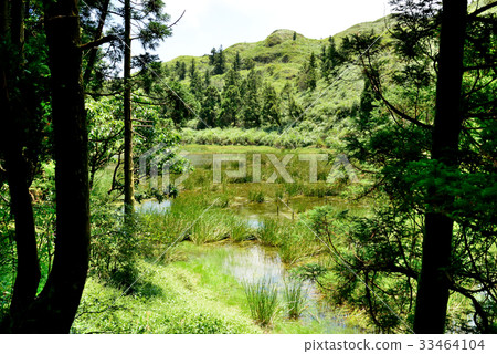台灣 風景 湖 陽明山 夢幻湖 植物 樹 枯木 原始 純淨 乾淨 登山 爬山 旅遊勝地 森林 秘境 台灣 風景 湖 陽明山 夢幻湖 植物 樹 枯木 原始 純淨 乾淨 登山 爬山 旅遊勝地 森林 秘境 33464104