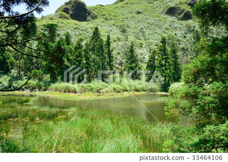 台灣 風景 湖 陽明山 夢幻湖 植物 樹 綠色 原始 純淨 乾淨 登山 爬山 旅遊勝地 森林 秘境 台灣 風景 湖 陽明山 夢幻湖 植物 樹 綠色 原始 純淨 乾淨 登山 爬山 旅遊勝地 森林 秘境 33464106