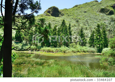 台灣 風景 湖 陽明山 夢幻湖 植物 樹 枯木 原始 純淨 乾淨 登山 爬山 旅遊勝地 森林 秘境 台灣 風景 湖 陽明山 夢幻湖 植物 樹 枯木 原始 純淨 乾淨 登山 爬山 旅遊勝地 森林 秘境 33464107