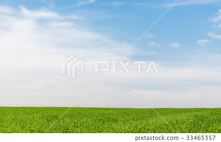 blue sky with clouds over green grass field blue sky with clouds over green grass field 33465357
