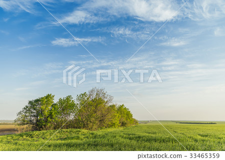 green meadow in sunset time and blue sky green meadow in sunset time and blue sky 33465359