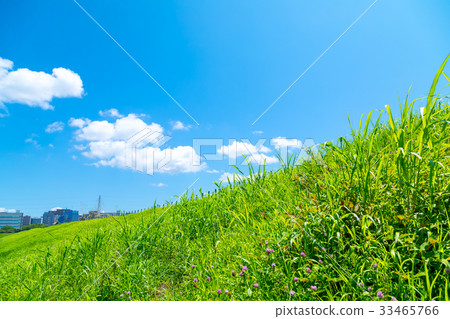 仲夏天空梅花期間晴朗的雲彩複製空間寬複製空間通用天空 33465766