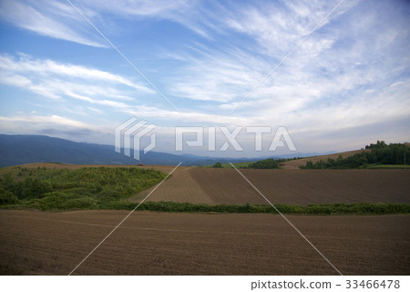 Farmland 1 Farmland 1 33466478