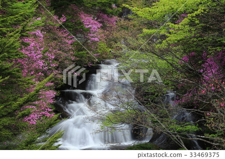 皇冠瀑布 33469375