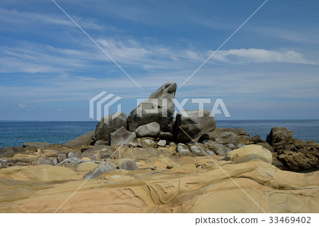 種子島海豚岩 種子島海豚岩 33469402