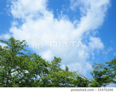 Summer blue sky and clouds seen from Hattori Oike Park 33470266