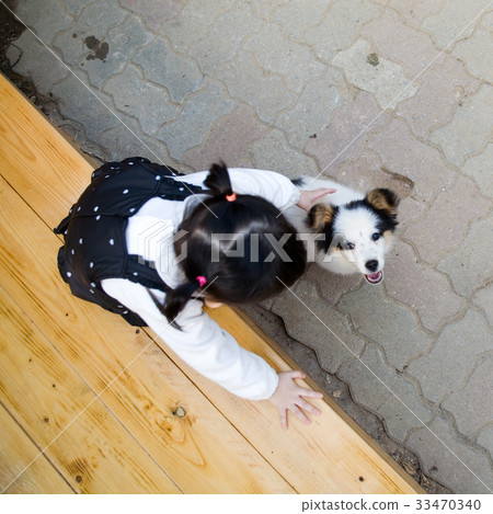 孩子,小狗 孩子,小狗 33470340