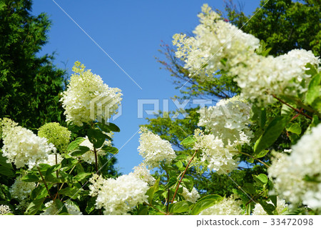 Refreshing light in the blue sky 33472098