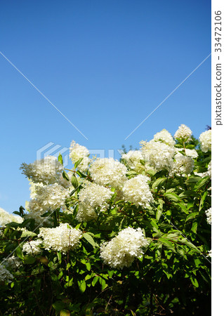 Refreshing light in the blue sky 33472106