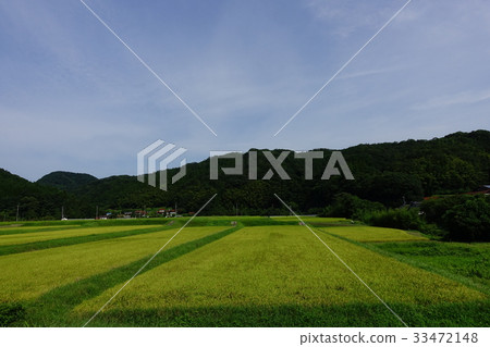 鄉村景觀 鄉村景觀 33472148