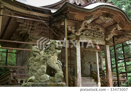 福井縣Agata Shiba Inu的Hakusan Hiraizumi Temple總公司 33473007