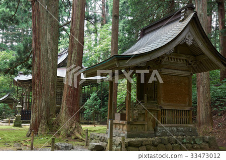 Hakuan Heisen-ji Temple,Beeyama-sha,被雪松樹包圍,福井縣 Hakuan Heisen-ji Temple,Beeyama-sha,被雪松樹包圍,福井縣 33473012