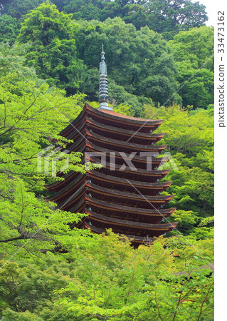 深綠色南山神社的十個三重塔 33473162