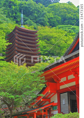 十大塔和深綠丹山神社的神社 33473165