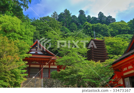 Ten Ten Pagoda and Gongjeon of Deep Green Danshan Shrine 33473167