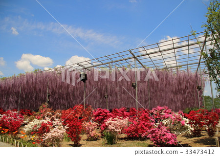 足利是一個花園Oto 足利是一個花園Oto 33473412