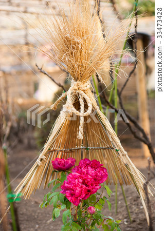 Snow guard and peony 33473428