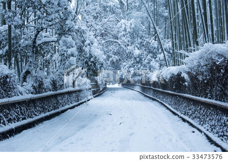Bamboo grove snow scene 33473576